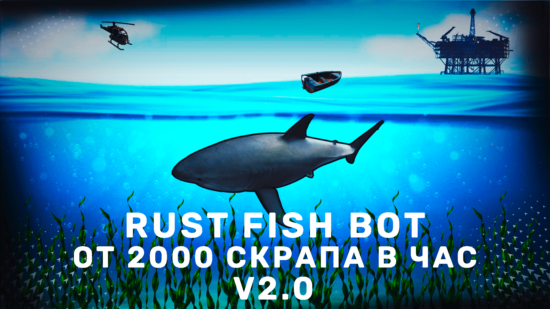 FISH BOT